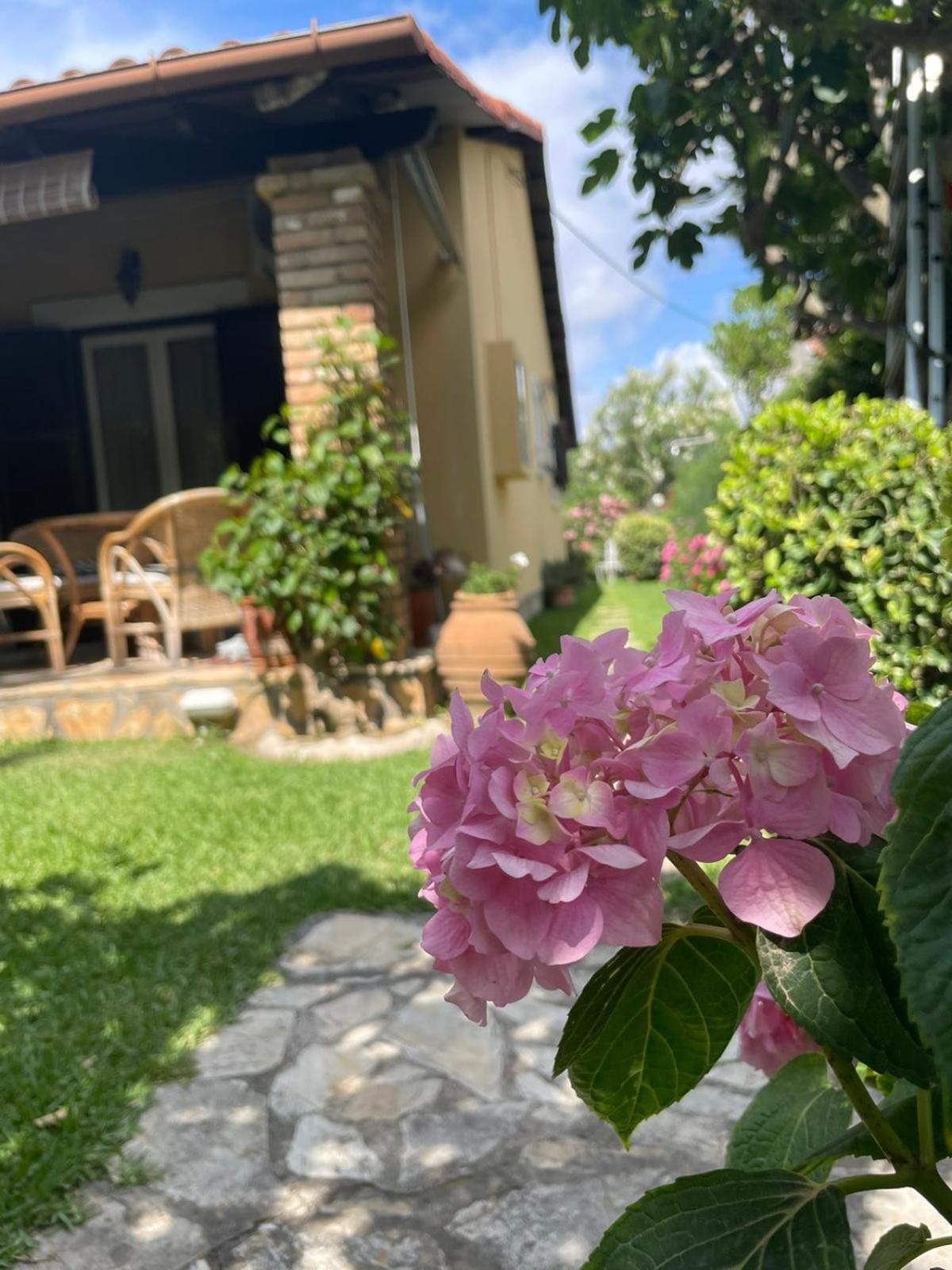 Villa Tina Country Beach Apartments Ахараві Номер фото