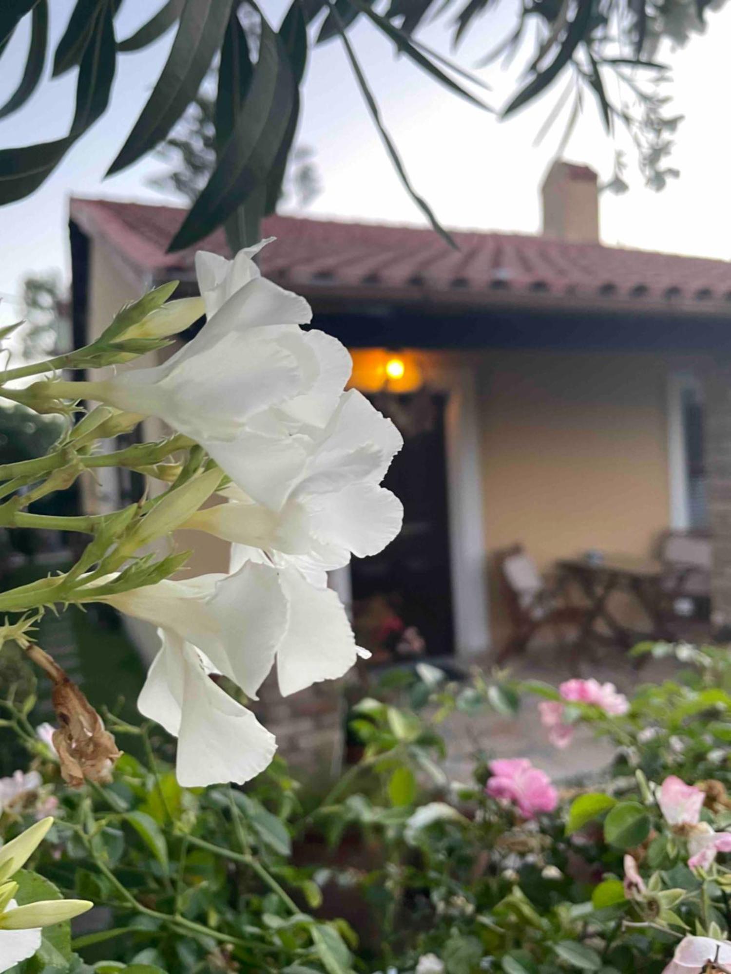 Villa Tina Country Beach Apartments Ахараві Номер фото